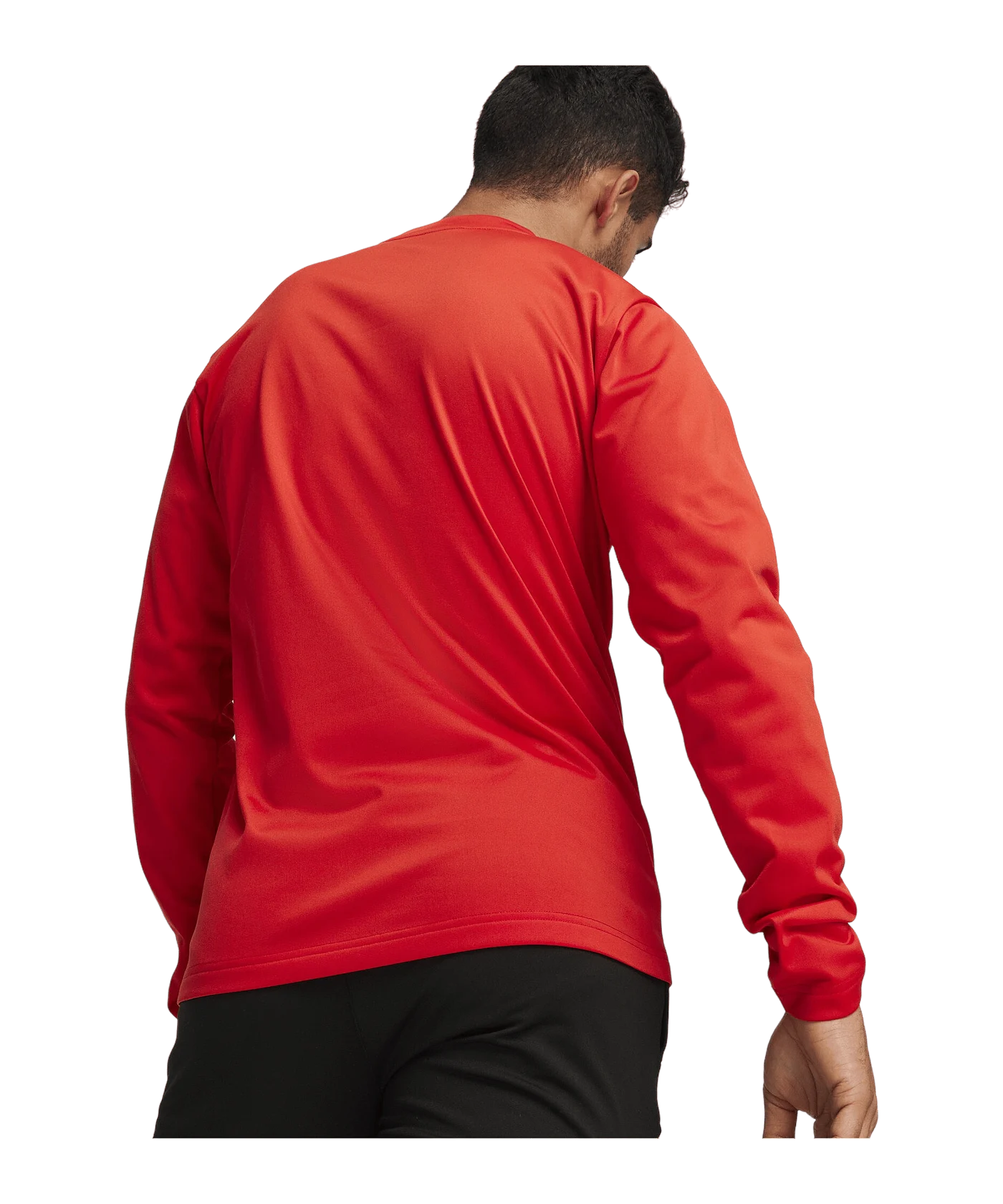 PUMA teamGOAL Training Sweatshirt Rot F01