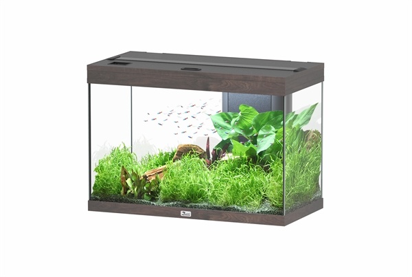 Aquatlantis Splendid 80 aquarium | Inclusief LED en filter