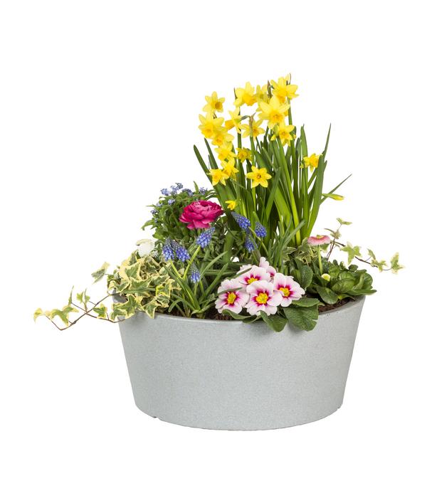 Scheurich Kunststoff-Topf C-Cone Bowl, rund,