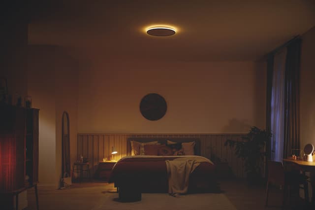 Philips Ozziet loftslampe 22W (sort)