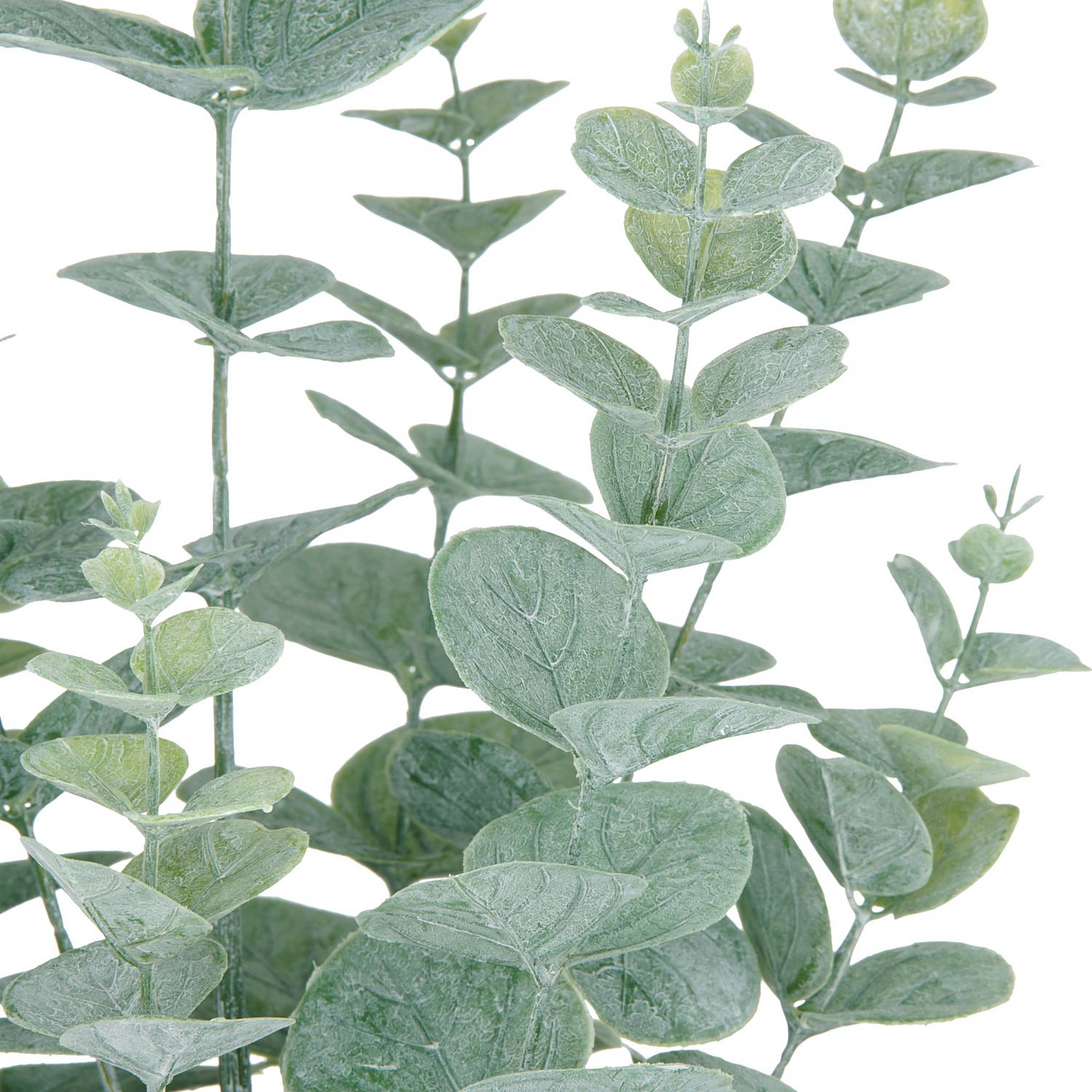 Kunstpflanze Eukalyptus