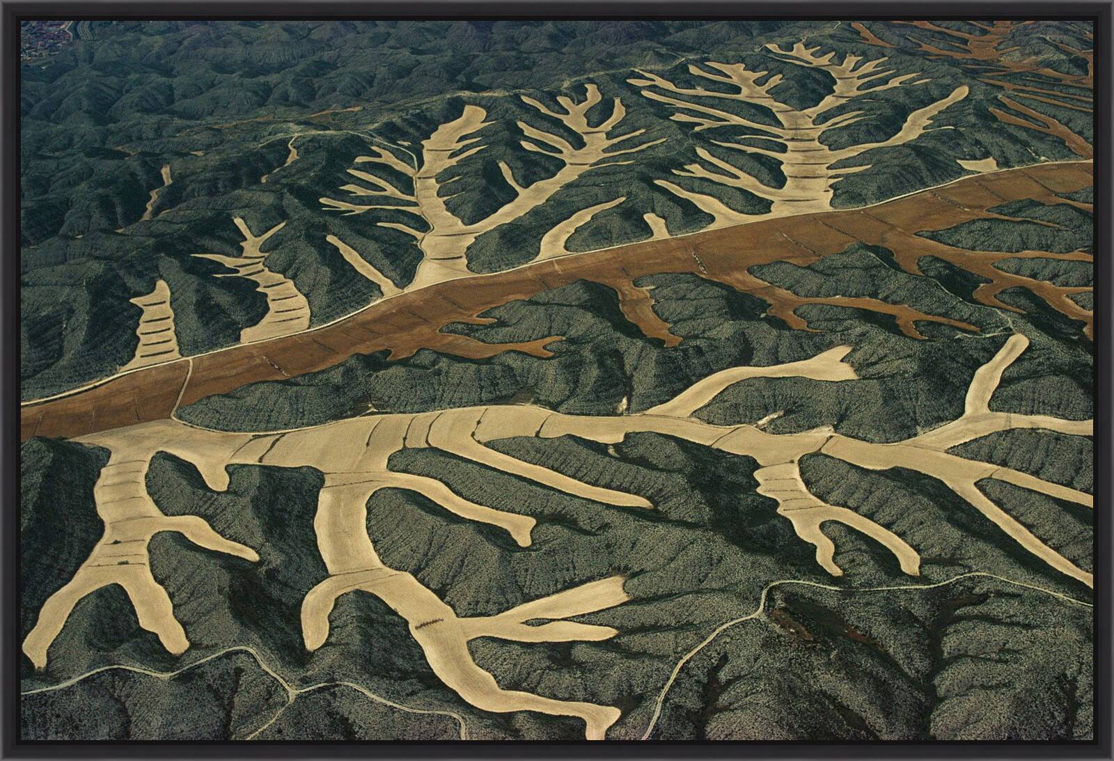 Artwork Earth 12 by Klaus D. Francke - Limited Edition. Edition of: 75. Signed.