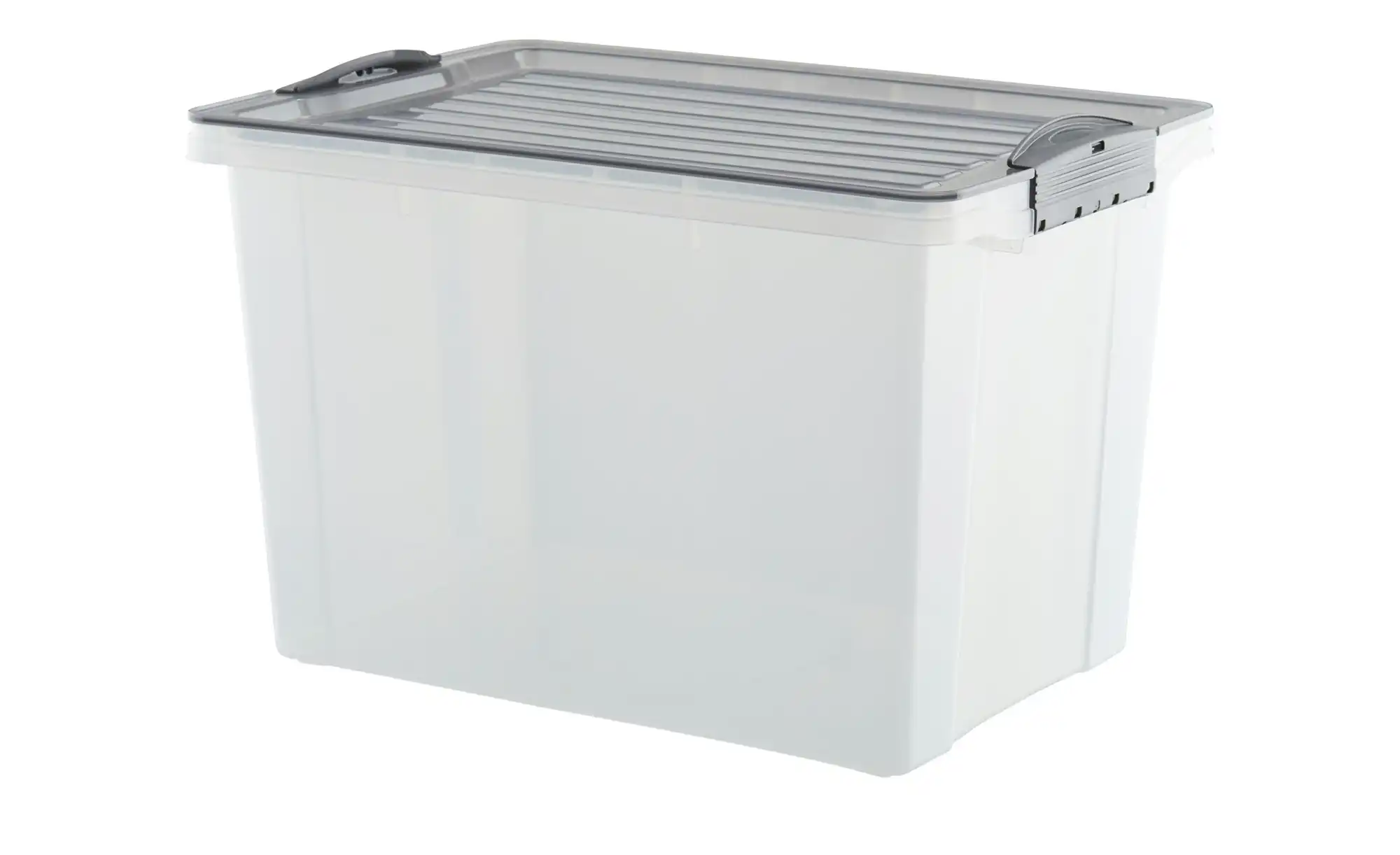 Rotho Aufbewahrungsbox mit Deckel