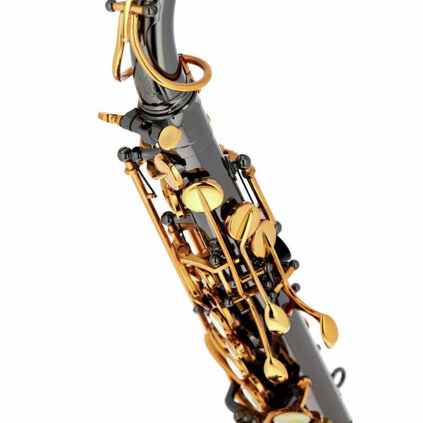 Forestone Alto Sax GX Black Nickel