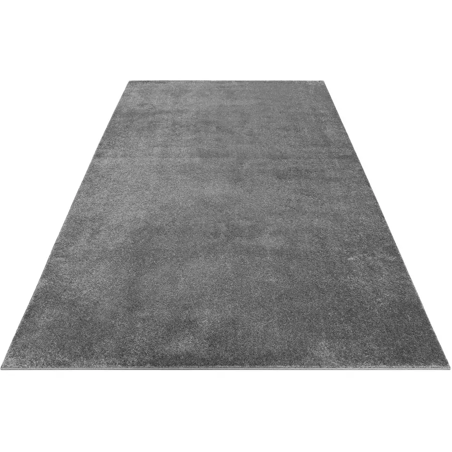 Esprit Kurzflorteppich Campus silber