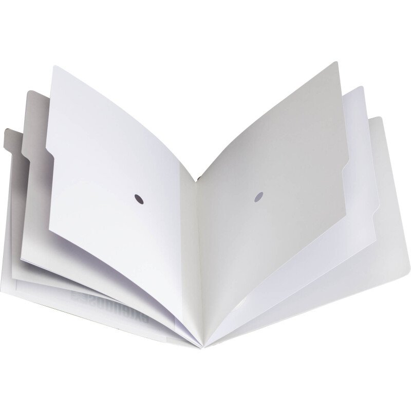 Pack 2 trieurs carte Extendos 7 divisions + 1 offert