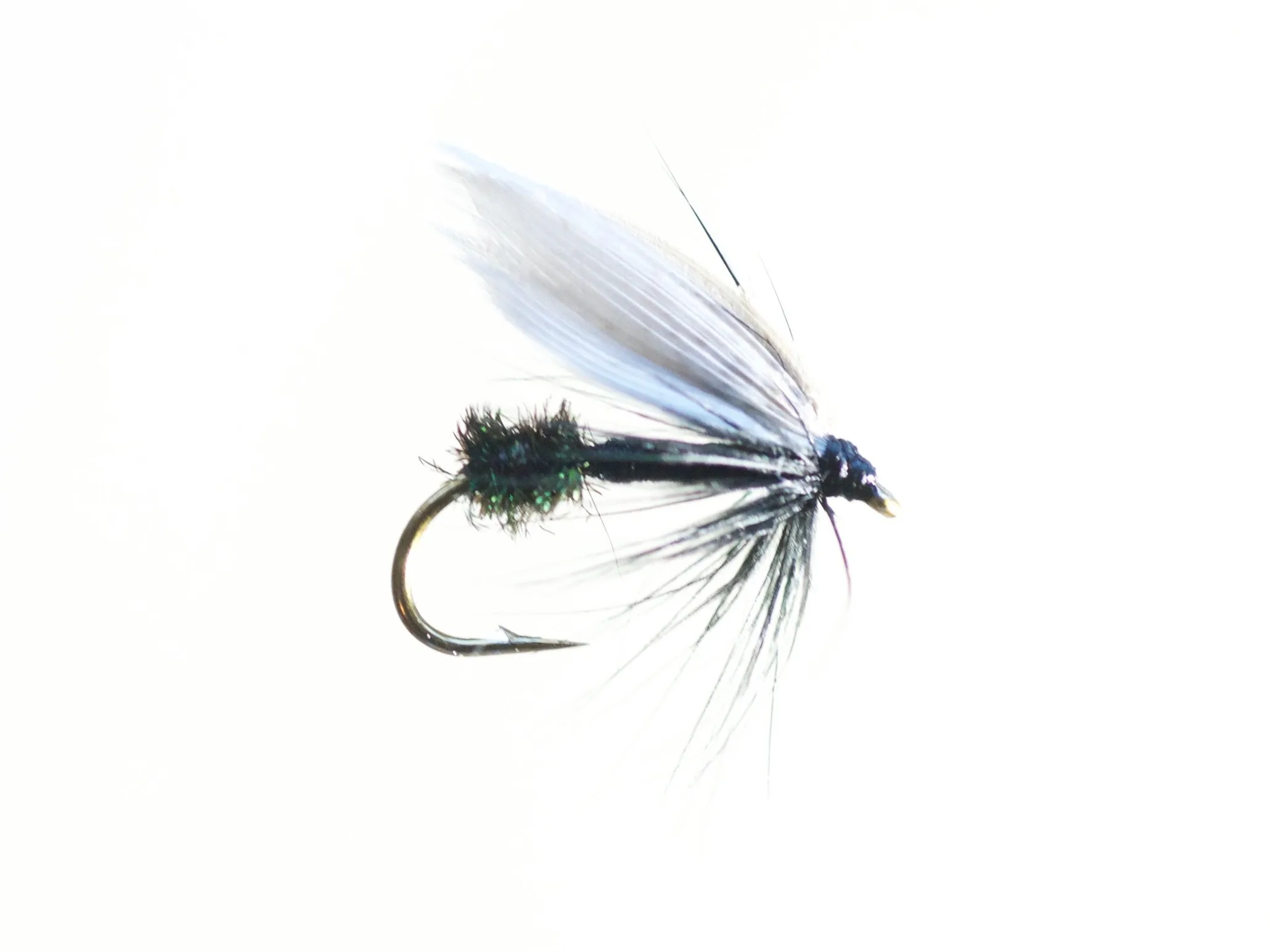 Xstream Black Ant Black Ant