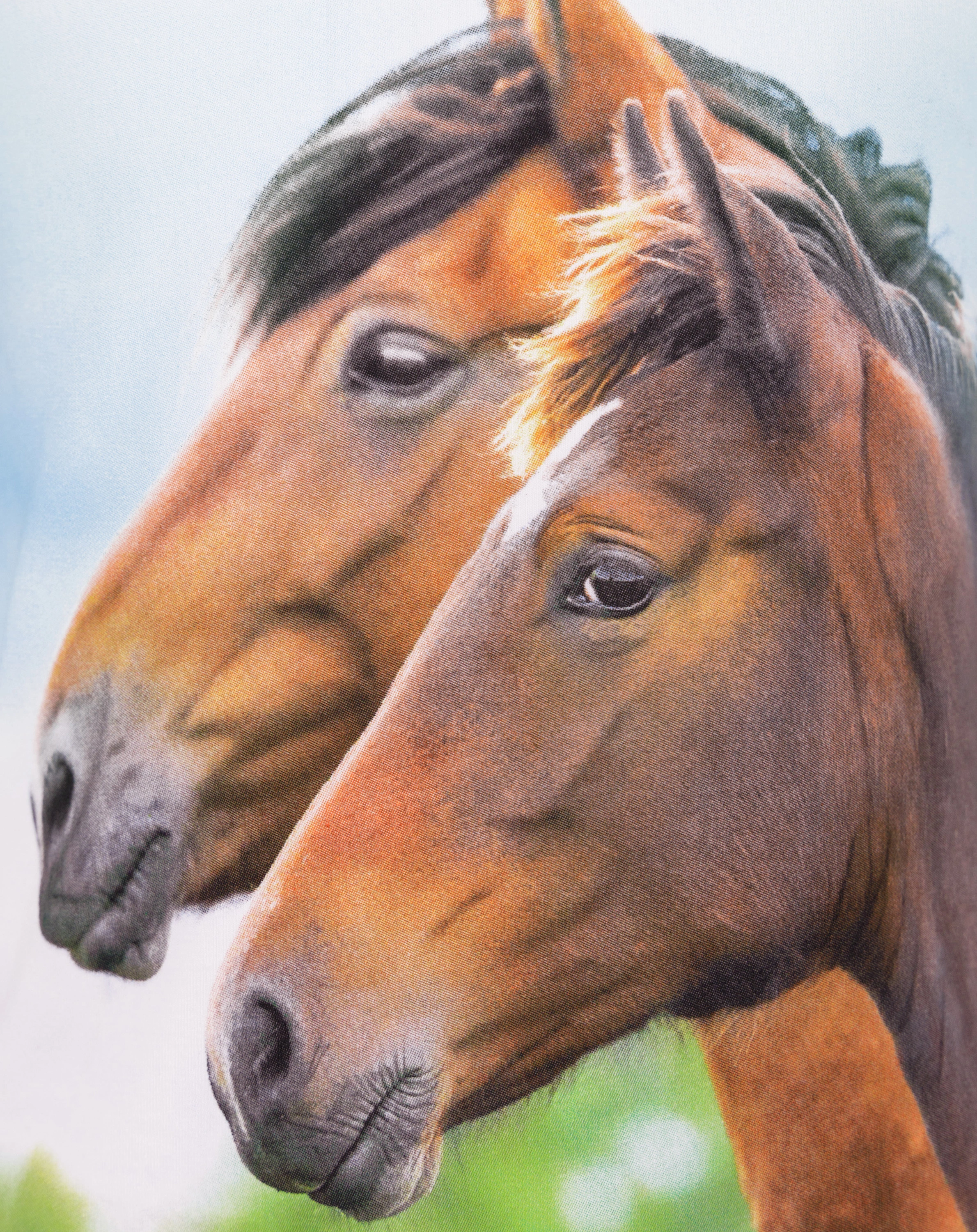T-Shirt BROWN HORSES in pastel blue