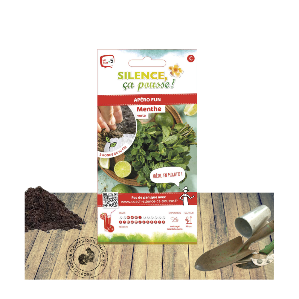 Graines de menthe verte/mentha spicata[-]présemée