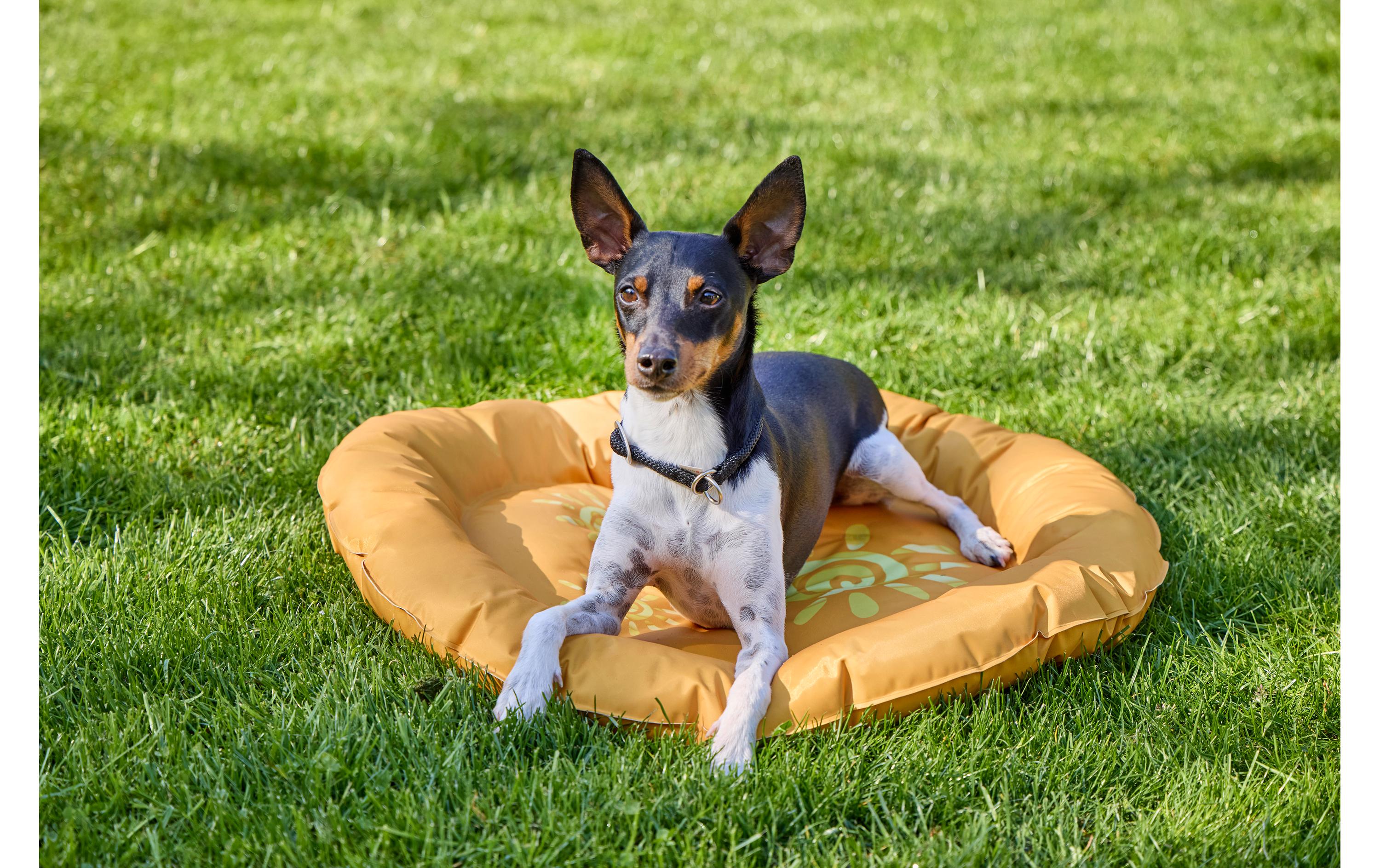Hunde-Kühlmatte Summerly SBequeme Hunde-Matte mit automatischer Kühlfunktion