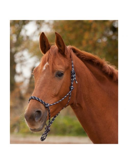 Waldhausen Knoophalster - Paardenhalster - Zwart Wit Full