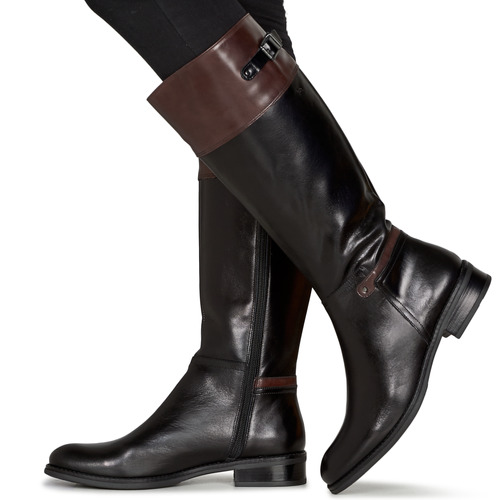 Dorking - TIERRA - Noir / Marron