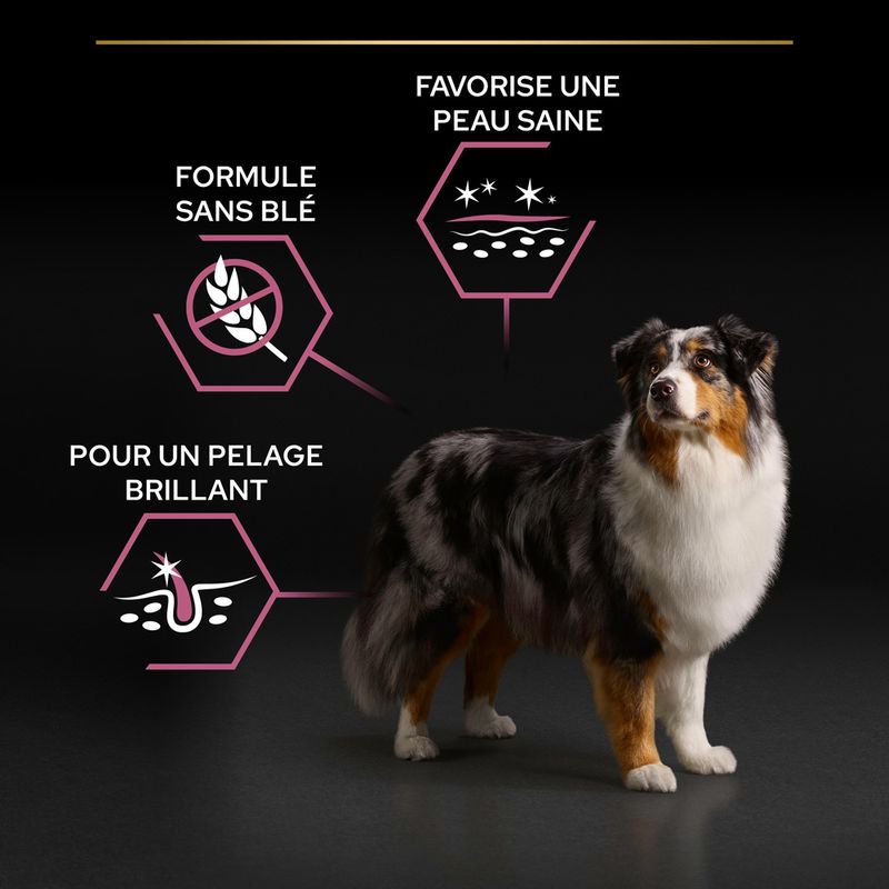 PURINA PRO PLAN Medium & Large Adult 7+ Sensitive Skin