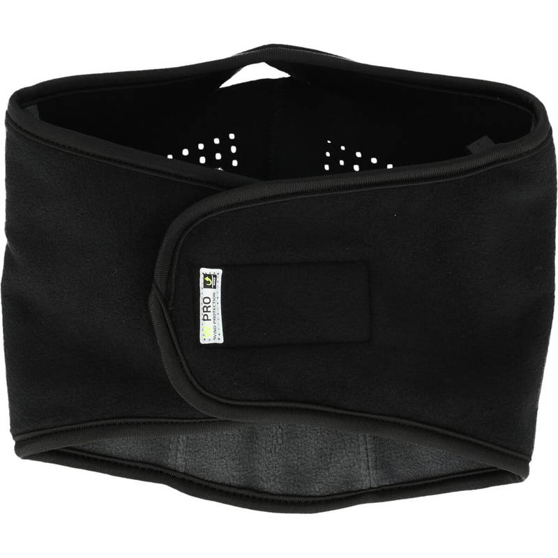 Whistler Wesia V2 Facemask