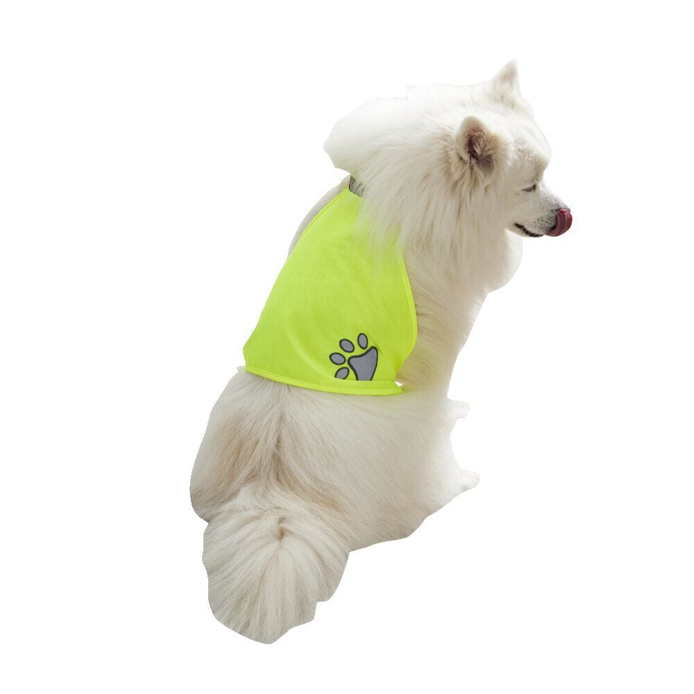 Gilet de sécurité pour chien réfléchissant Taille M