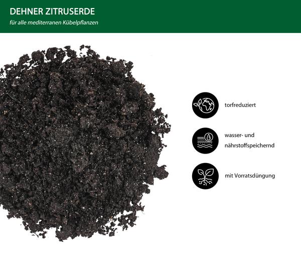 Dehner Zitruserde