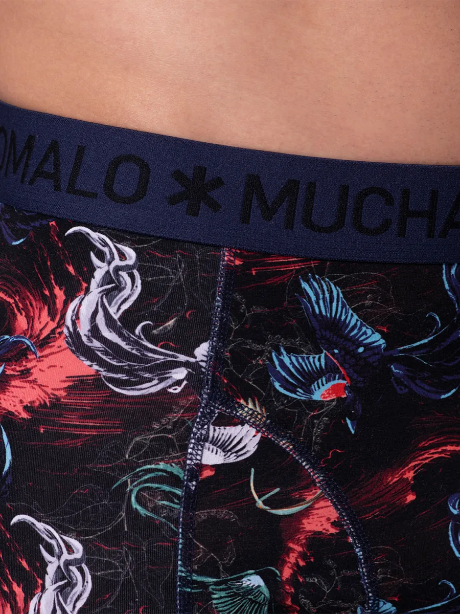 Muchachomalo 1010 Airelement 2pk Boxer Print/print