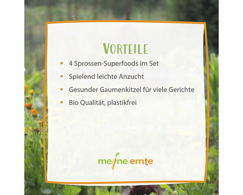 Biologische kiemset, Sprouts, My Harvest 'Kitchen Kick', set van 4