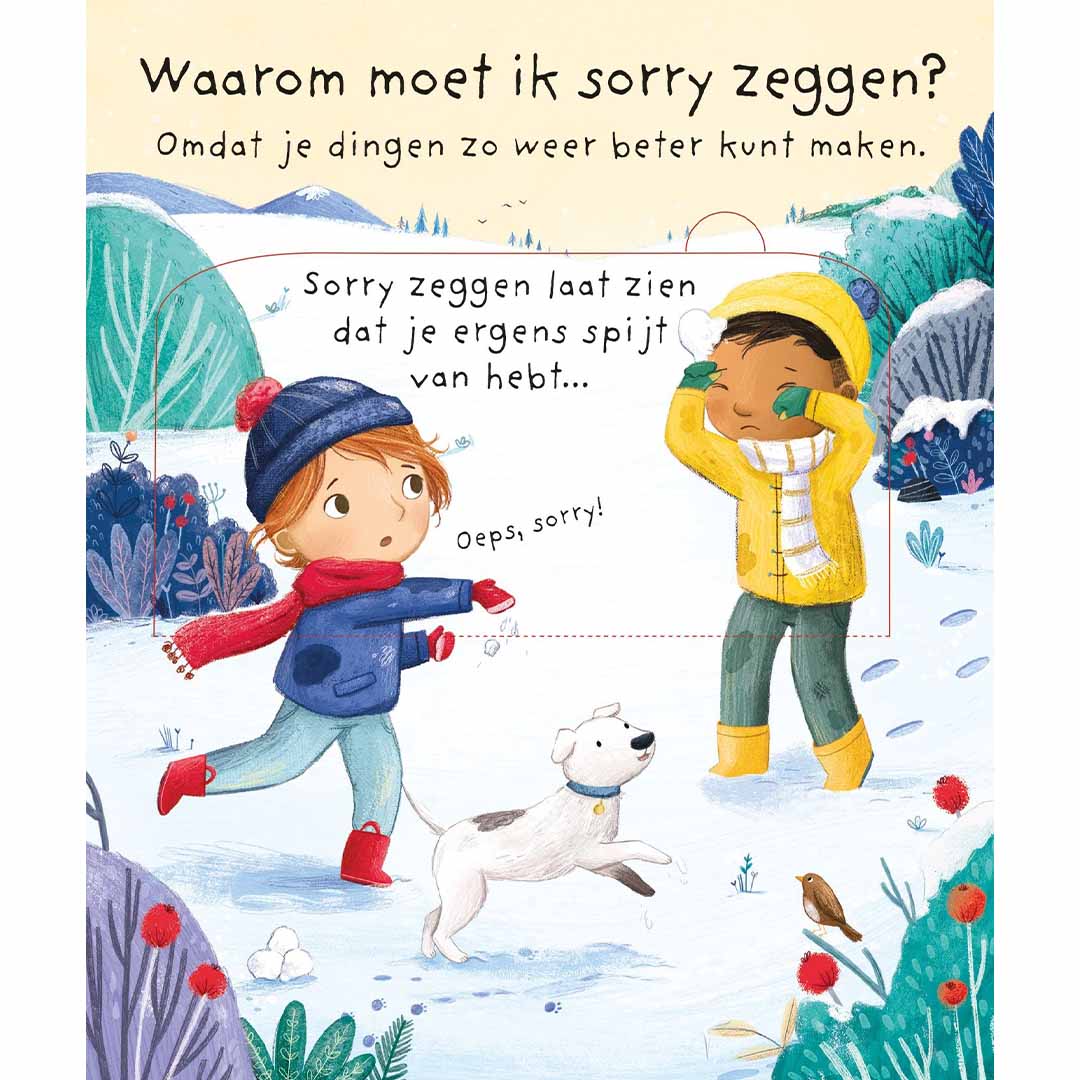 Usborne waarom moet ik sorry zeggen?