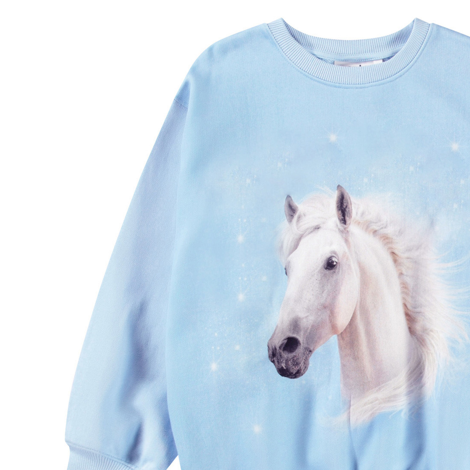 Monti - Horse Blue
