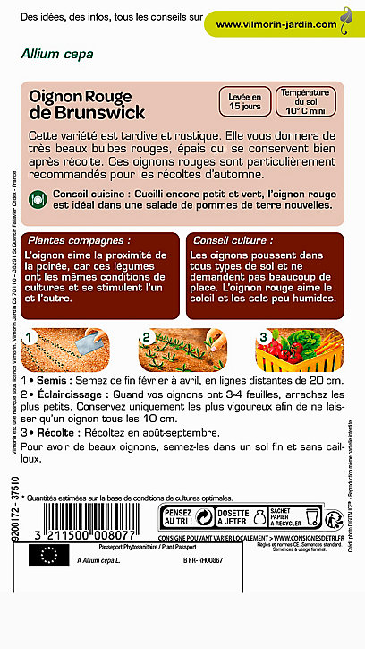 Graines d'Oignon Rouge de Brunswick Vilmorin