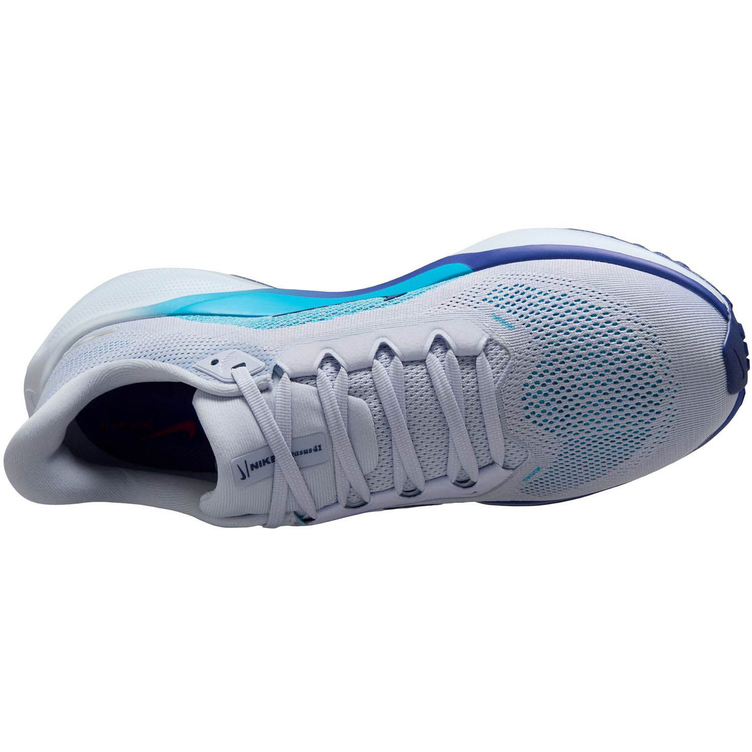 NikeNike Pegasus 41 Men