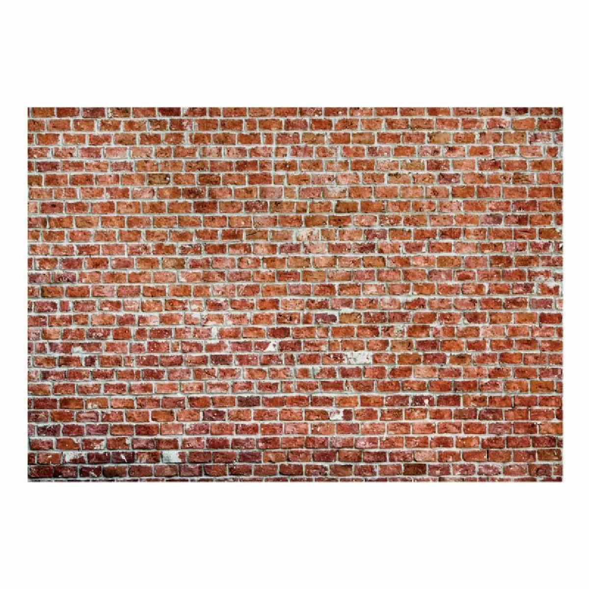 Paris Prix Red Rock 70x100