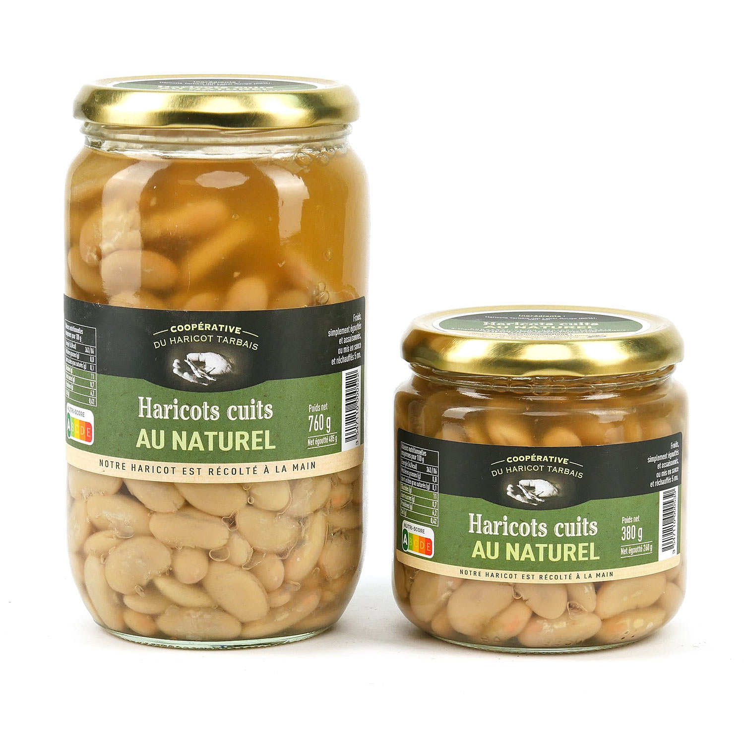Haricots Tarbais cuits au naturel