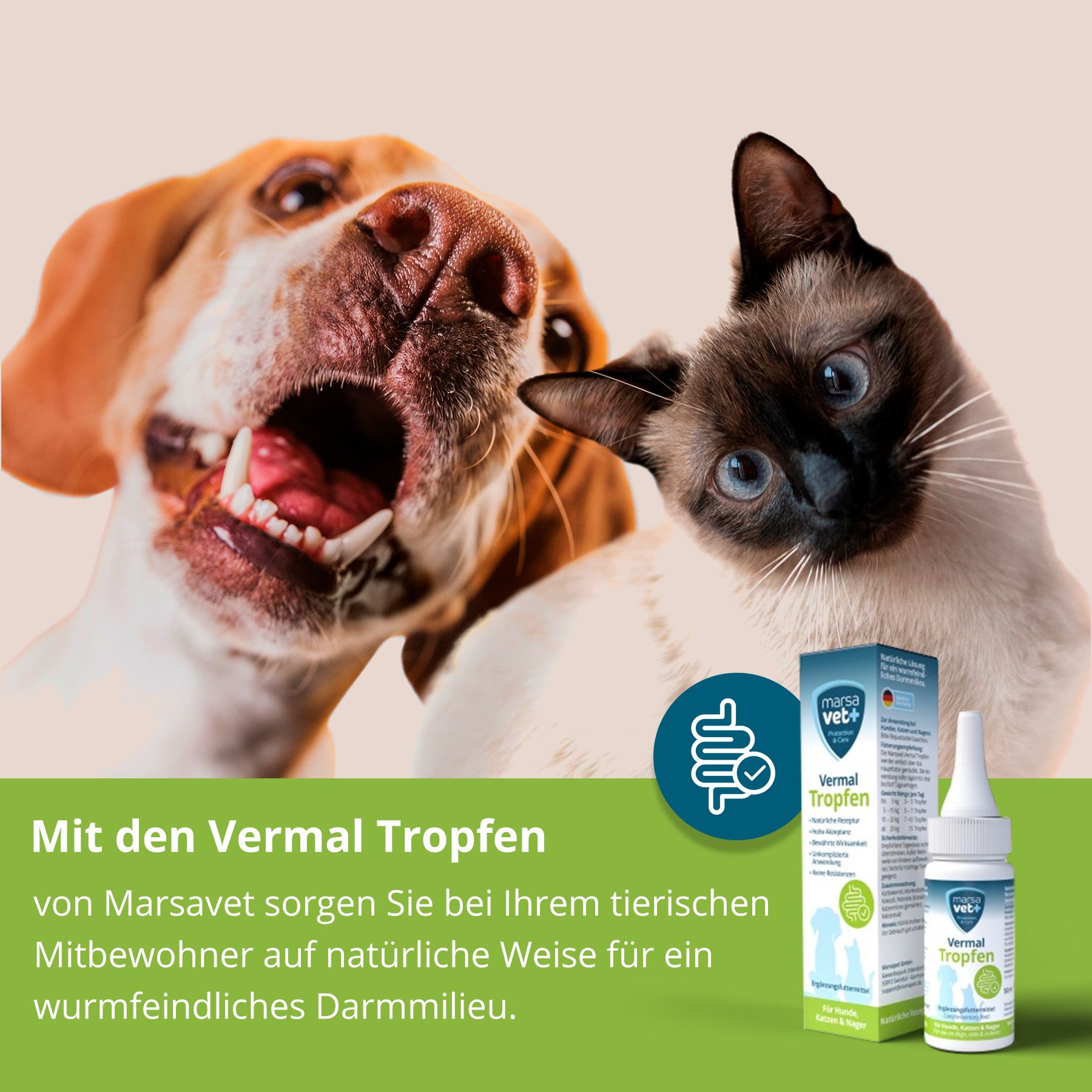 Vermal Set für Katzen Marsavet Vermal Tropfen + I love my cat Nassfutter mit Huhn