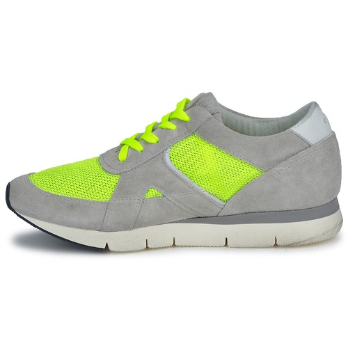 OXS - GEORDIE - Gris / Jaune