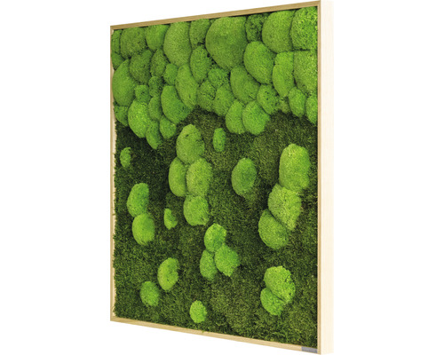 Forest & Ball Moss Fotolijst Eikenlook 80x80 cm