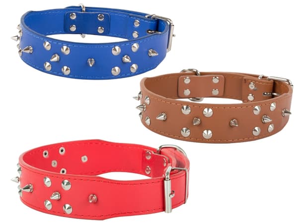 Hundhalsband med Nitar - Halsband för Katter och Hundar - XL