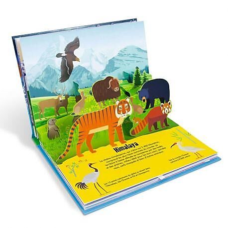 CARTOTHEQUE - MONTAGNE - LA NATURE EN POP-UP