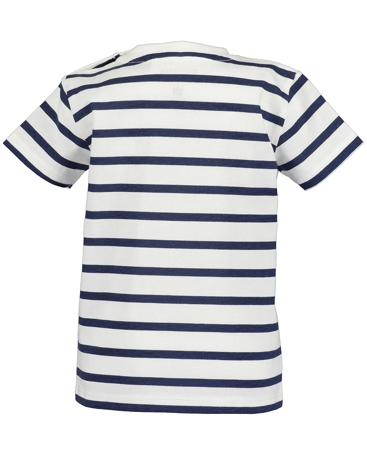 T-Shirt LITTLE LION gestreift in weiß/ultramarin