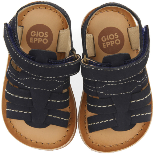 Gioseppo - JATOBA Azul