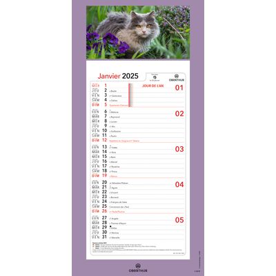 Calendrier mensuel en papier sur plaque illustrée - 16 x 33 cm - différents modèles disponibles - Oberthur