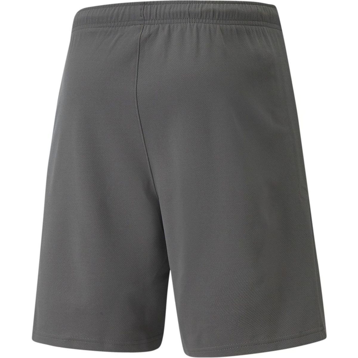 PumateamRISE Shorts