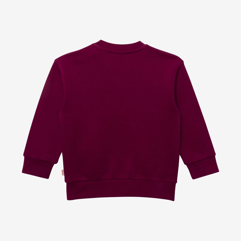 Sweat bébé garçon violet en coton recyclé Catimini Mauve Violet
