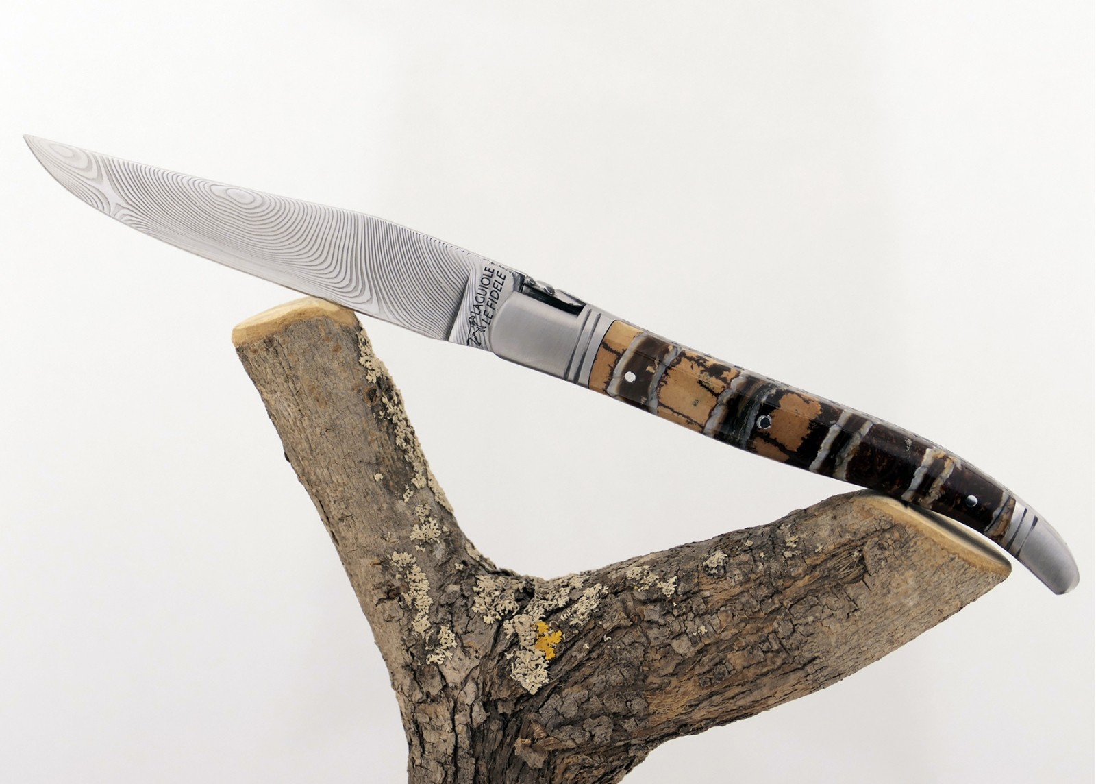 Couteau Laguiole avec un manche en Molaire de Mammouth Fossile