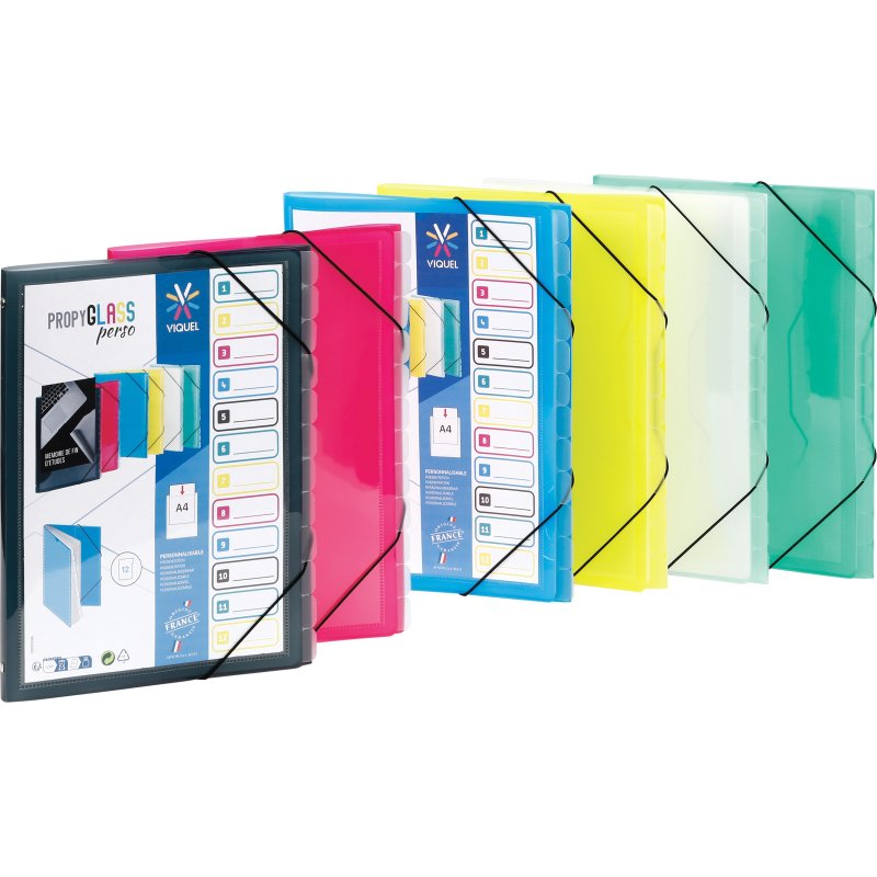 Trieur plastique personnalisable Viquel Propyglass 12 divisions - couleurs assorties translucides