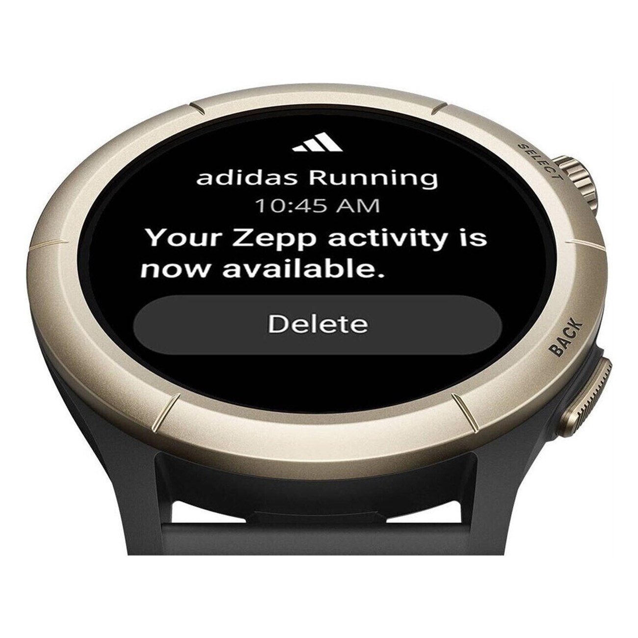 Amazfit Cheetah (Round) grau Smartwatch