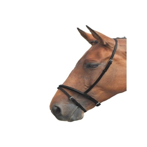 Cabresto duplo Blenheim em couro preto para cavalos/patas