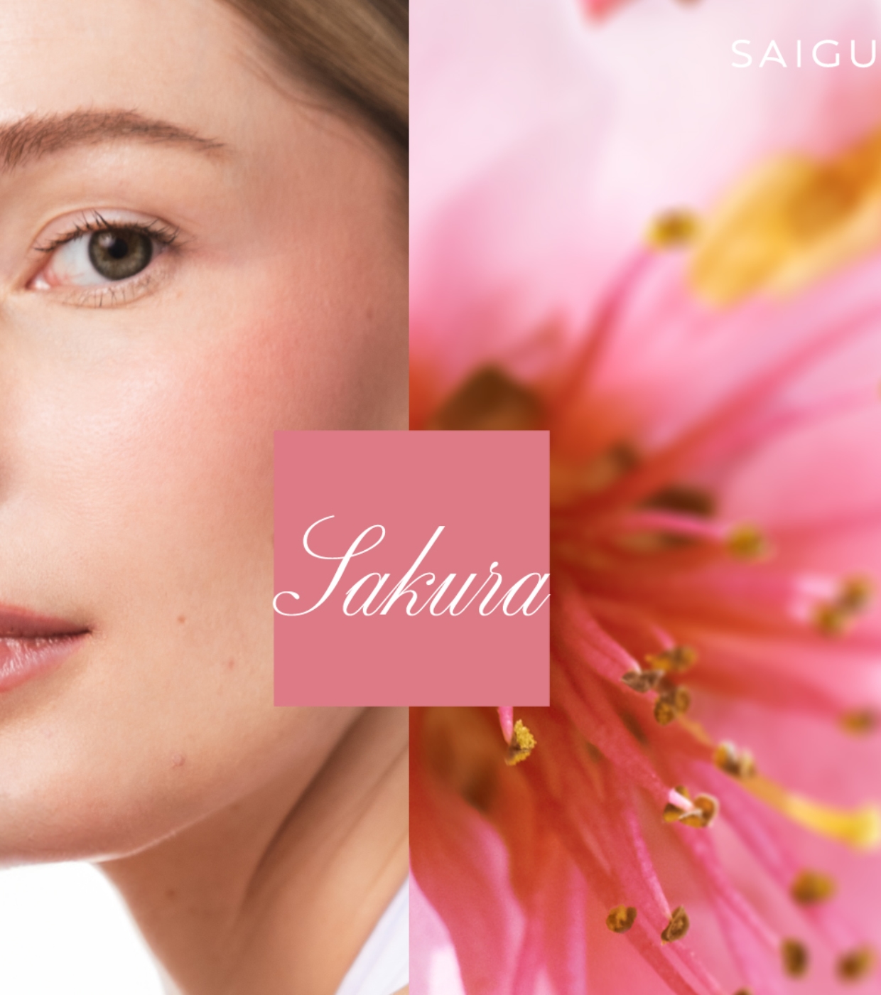 Saigu Cosmetics - Blush em pó - Sakura
