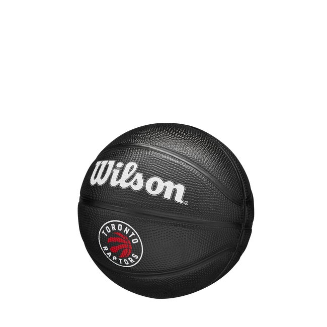 NBA Team Tribute Mini Basketball