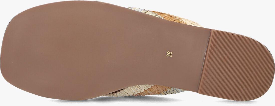 NOTRE-V multi notre-v slippers 979006