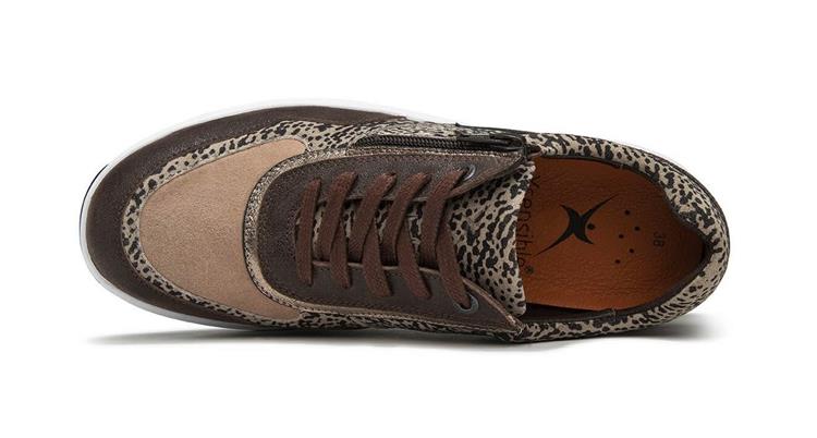 Xsensible 30204.2 Brown Fantasy 351