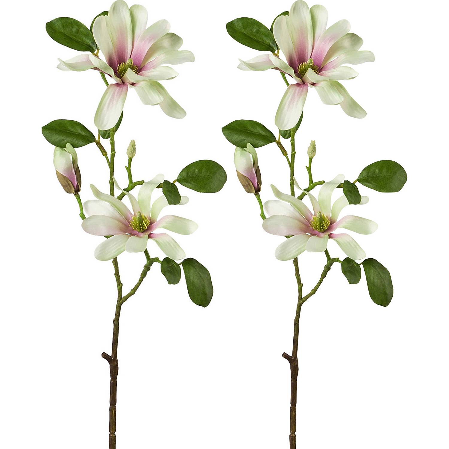 Kunstpflanze Sternmagnolie im 2er-Pack