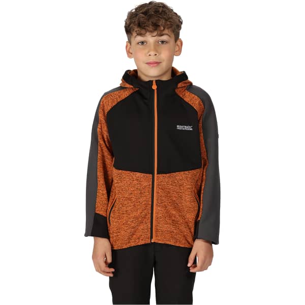 Veste polaire randonnée REGATTA DISSOLVER VI AUTUMN MPL/BLACK