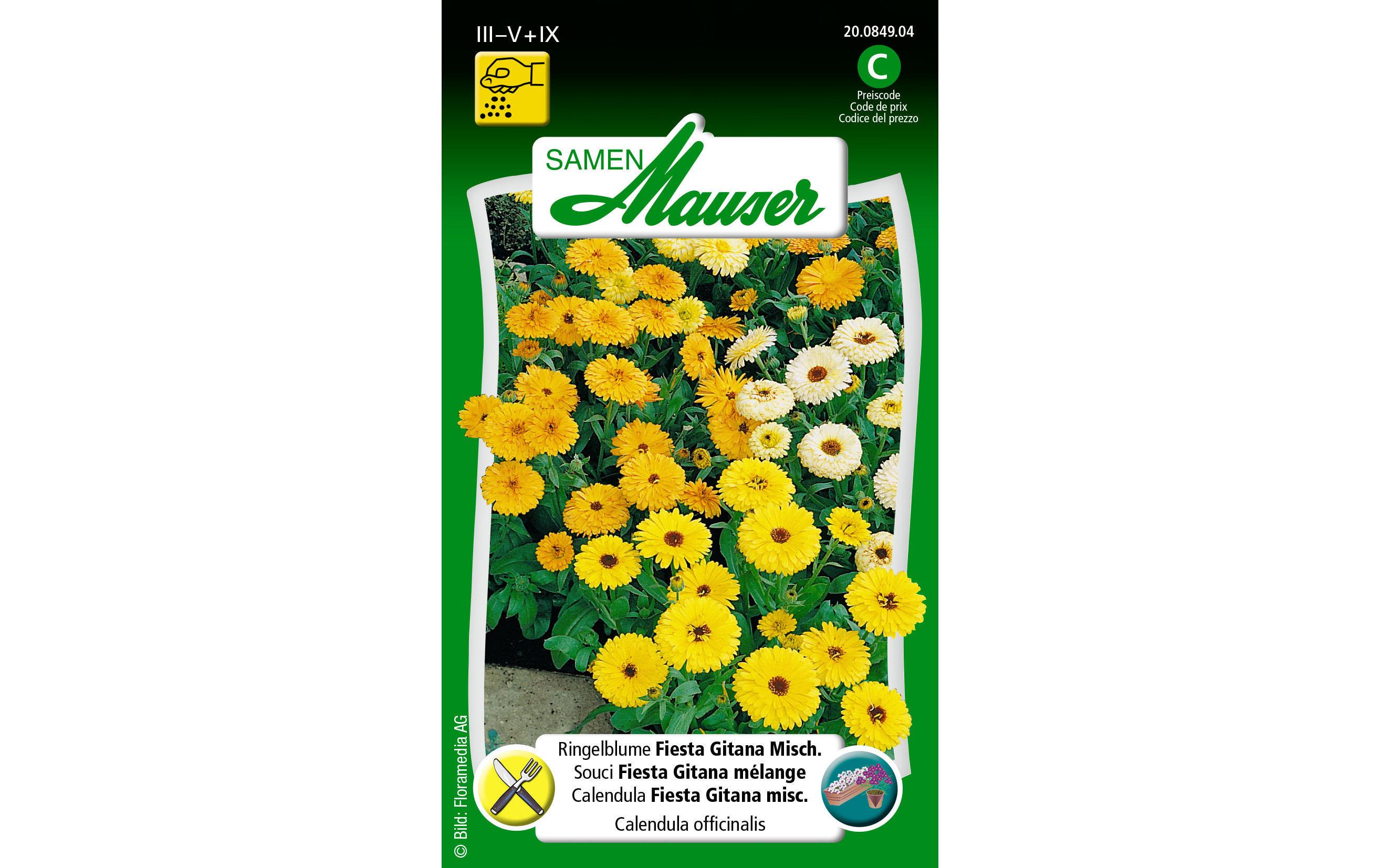 Essbare Blüten Ringelblume Gitana Fiesta Misch.Blumensamen