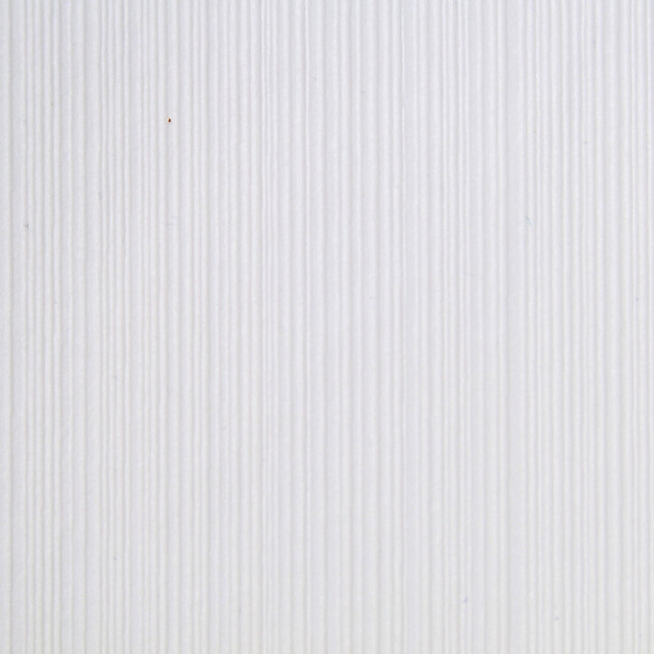 Papier peint vinyle sur intissé Pyrola GoodHome blanc